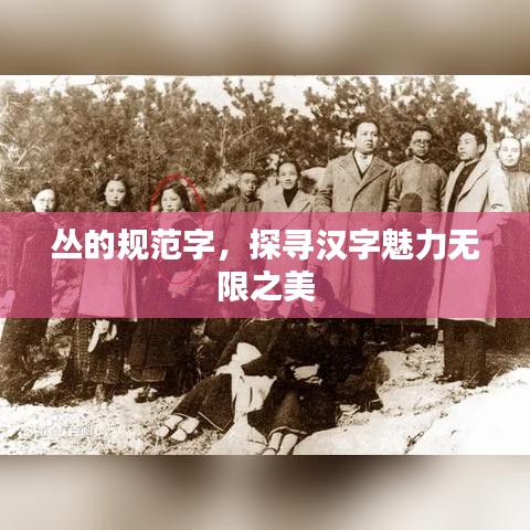 丛的规范字，探寻汉字魅力无限之美