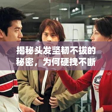 揭秘头发坚韧不拔的秘密，为何硬拽不断？
