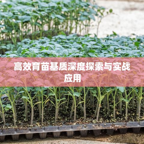 高效育苗基质深度探索与实战应用
