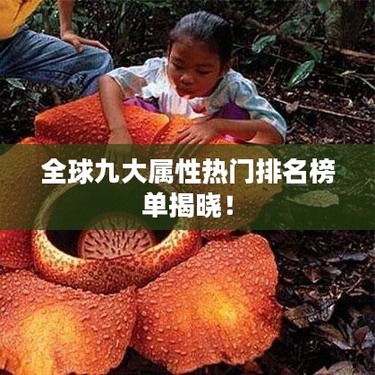 全球九大属性热门排名榜单揭晓！