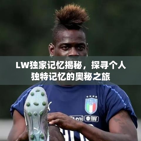 LW独家记忆揭秘，探寻个人独特记忆的奥秘之旅