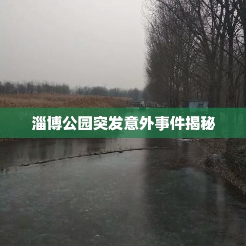 淄博公园突发意外事件揭秘
