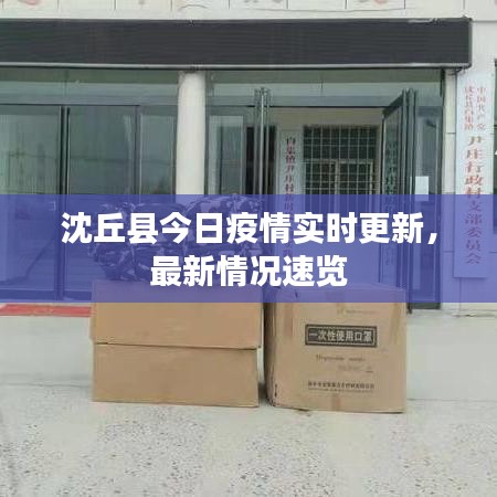 沈丘县今日疫情实时更新，最新情况速览