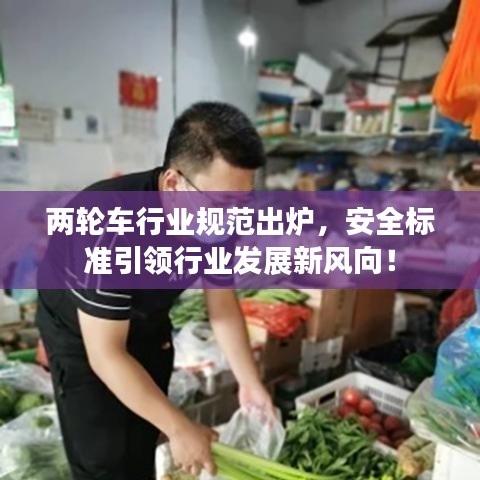 两轮车行业规范出炉，安全标准引领行业发展新风向！