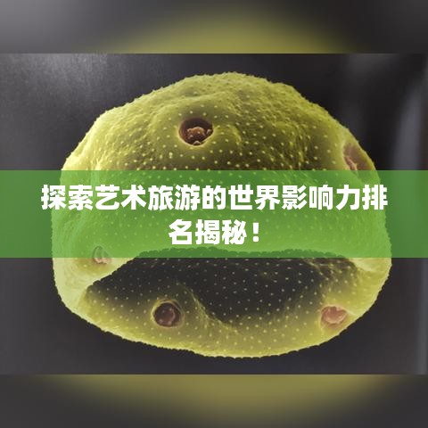 探索艺术旅游的世界影响力排名揭秘！