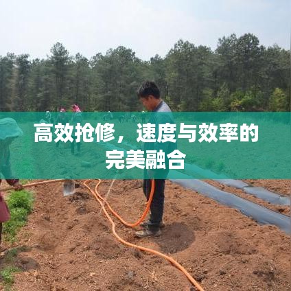 高效抢修，速度与效率的完美融合