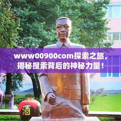 www00900com探索之旅，揭秘搜索背后的神秘力量！