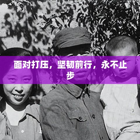 面对打压，坚韧前行，永不止步