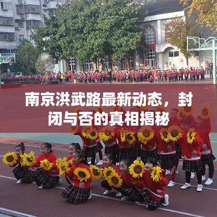 南京洪武路最新动态，封闭与否的真相揭秘