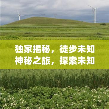 独家揭秘，徒步未知神秘之旅，探索未知的极致体验