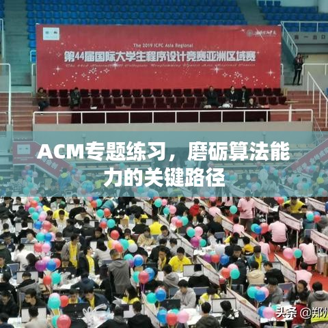 ACM专题练习，磨砺算法能力的关键路径