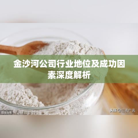 金沙河公司行业地位及成功因素深度解析