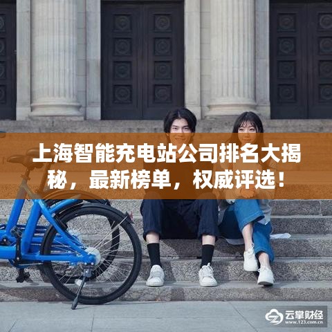 上海智能充电站公司排名大揭秘，最新榜单，权威评选！