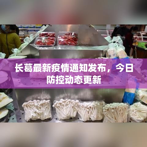 长葛最新疫情通知发布，今日防控动态更新