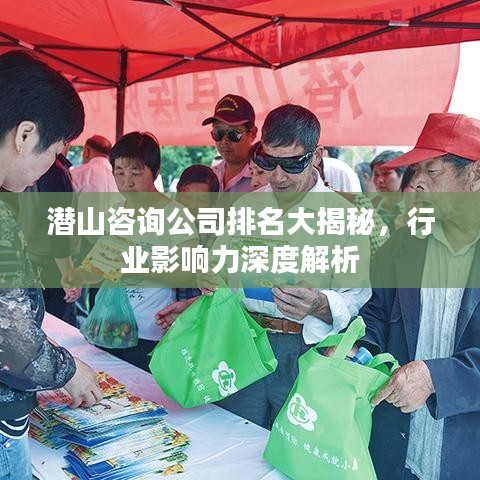 潜山咨询公司排名大揭秘，行业影响力深度解析