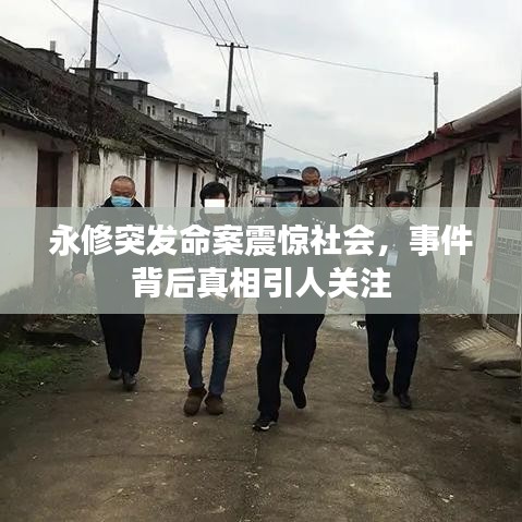 永修突发命案震惊社会，事件背后真相引人关注