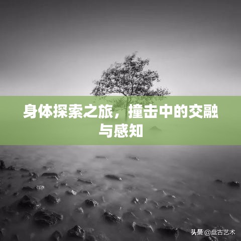 千娇百媚 第2页