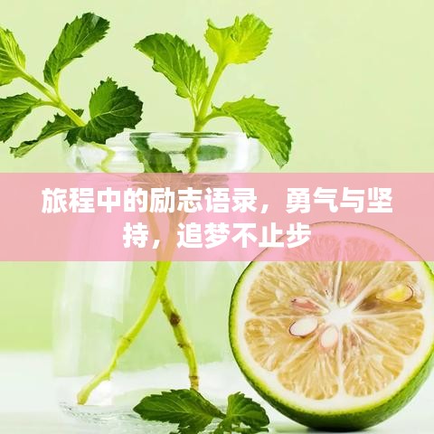 旅程中的励志语录，勇气与坚持，追梦不止步