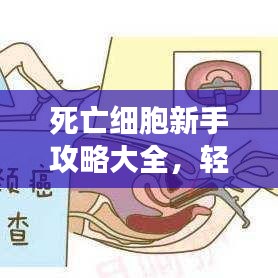 死亡细胞新手攻略大全，轻松上手游戏秘籍！