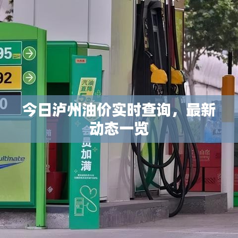 今日泸州油价实时查询，最新动态一览