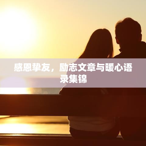 感恩挚友，励志文章与暖心语录集锦