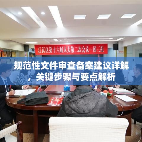 规范性文件审查备案建议详解，关键步骤与要点解析