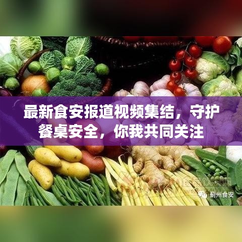 最新食安报道视频集结，守护餐桌安全，你我共同关注