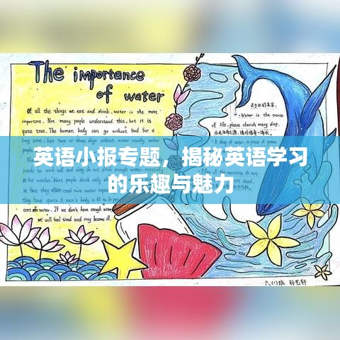 英语小报专题，揭秘英语学习的乐趣与魅力