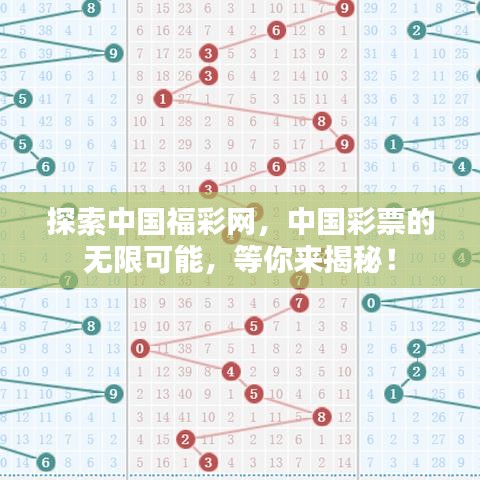 探索中国福彩网，中国彩票的无限可能，等你来揭秘！