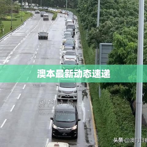 澳本最新动态速递