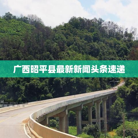广西昭平县最新新闻头条速递