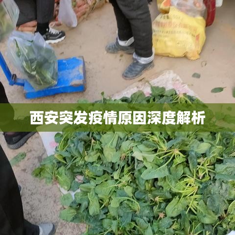 西安突发疫情原因深度解析