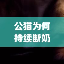 公猫为何持续断奶？原因、后果及解决方法大解析！