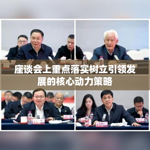 座谈会上重点落实树立引领发展的核心动力策略