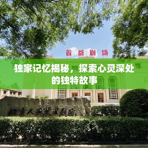 独家记忆揭秘，探索心灵深处的独特故事
