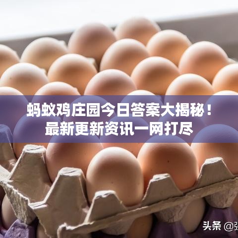蚂蚁鸡庄园今日答案大揭秘！最新更新资讯一网打尽