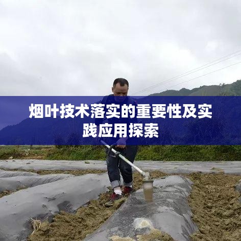 烟叶技术落实的重要性及实践应用探索