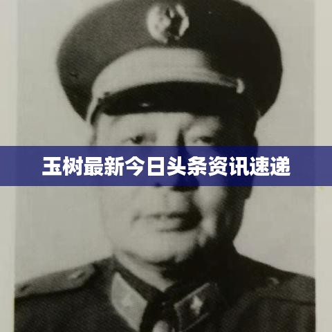 玉树最新今日头条资讯速递