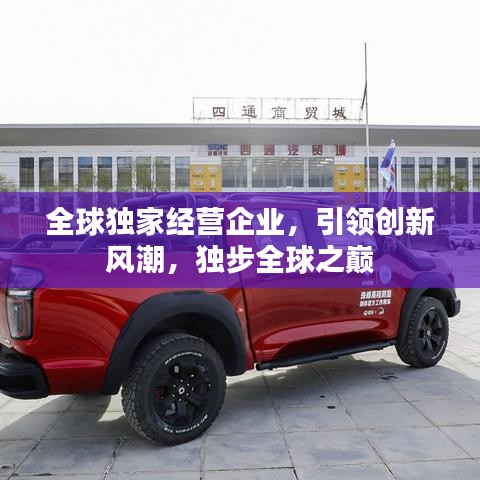 全球独家经营企业，引领创新风潮，独步全球之巅