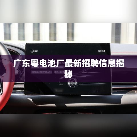 广东粤电池厂最新招聘信息揭秘