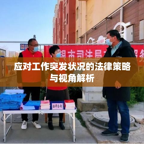 应对工作突发状况的法律策略与视角解析