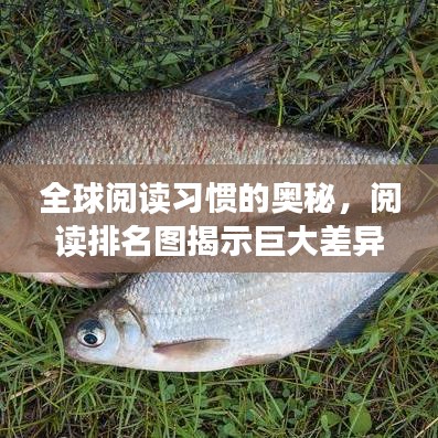 全球阅读习惯的奥秘，阅读排名图揭示巨大差异！