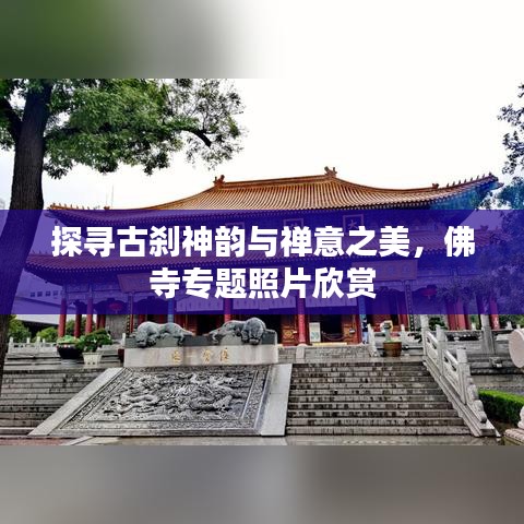 探寻古刹神韵与禅意之美，佛寺专题照片欣赏