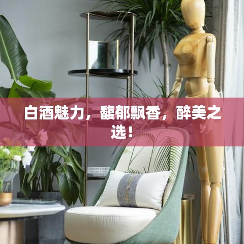 白酒魅力，馥郁飘香，醉美之选！