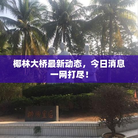 椰林大桥最新动态，今日消息一网打尽！