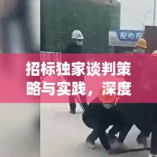 招标独家谈判策略与实践，深度解析谈判技巧，助力成功中标！