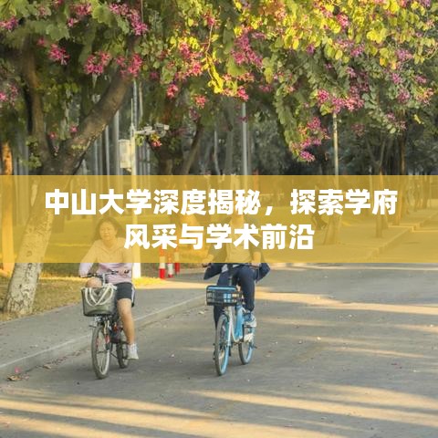 中山大学深度揭秘，探索学府风采与学术前沿