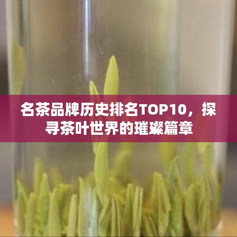 名茶品牌历史排名TOP10，探寻茶叶世界的璀璨篇章