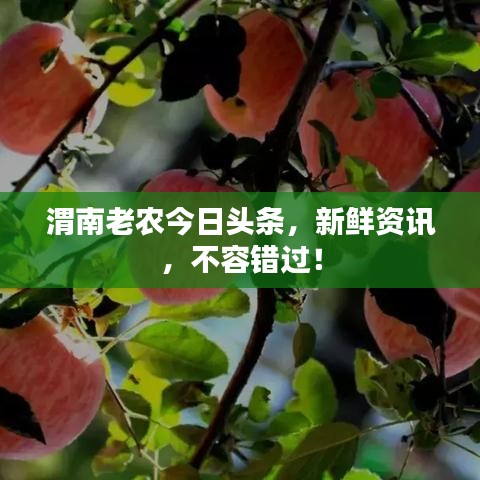 渭南老农今日头条，新鲜资讯，不容错过！