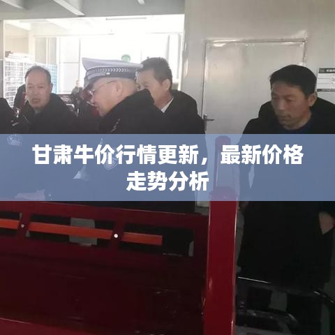 甘肃牛价行情更新，最新价格走势分析